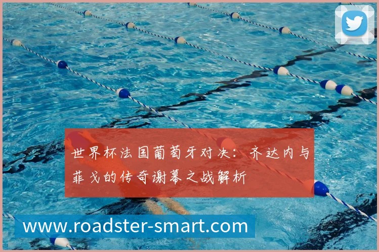世界杯法国葡萄牙对决：齐达内与菲戈的传奇谢幕之战解析